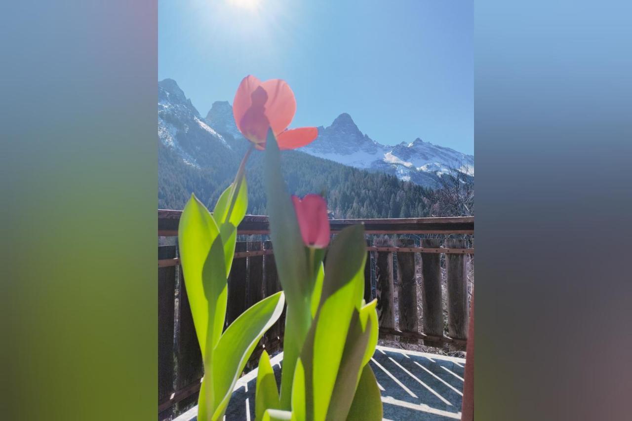 西比纳Il Terrazzo Sulle Dolomiti公寓 外观 照片