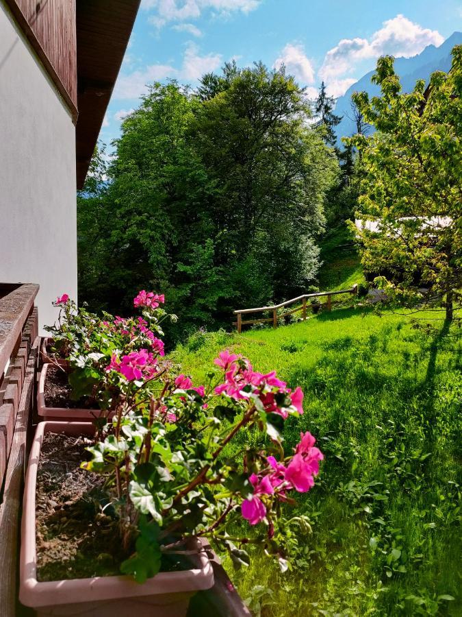 西比纳Il Terrazzo Sulle Dolomiti公寓 外观 照片