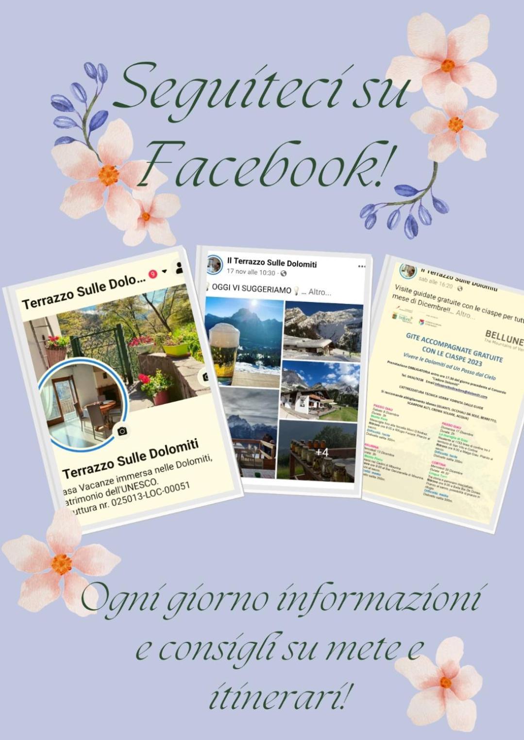 西比纳Il Terrazzo Sulle Dolomiti公寓 外观 照片